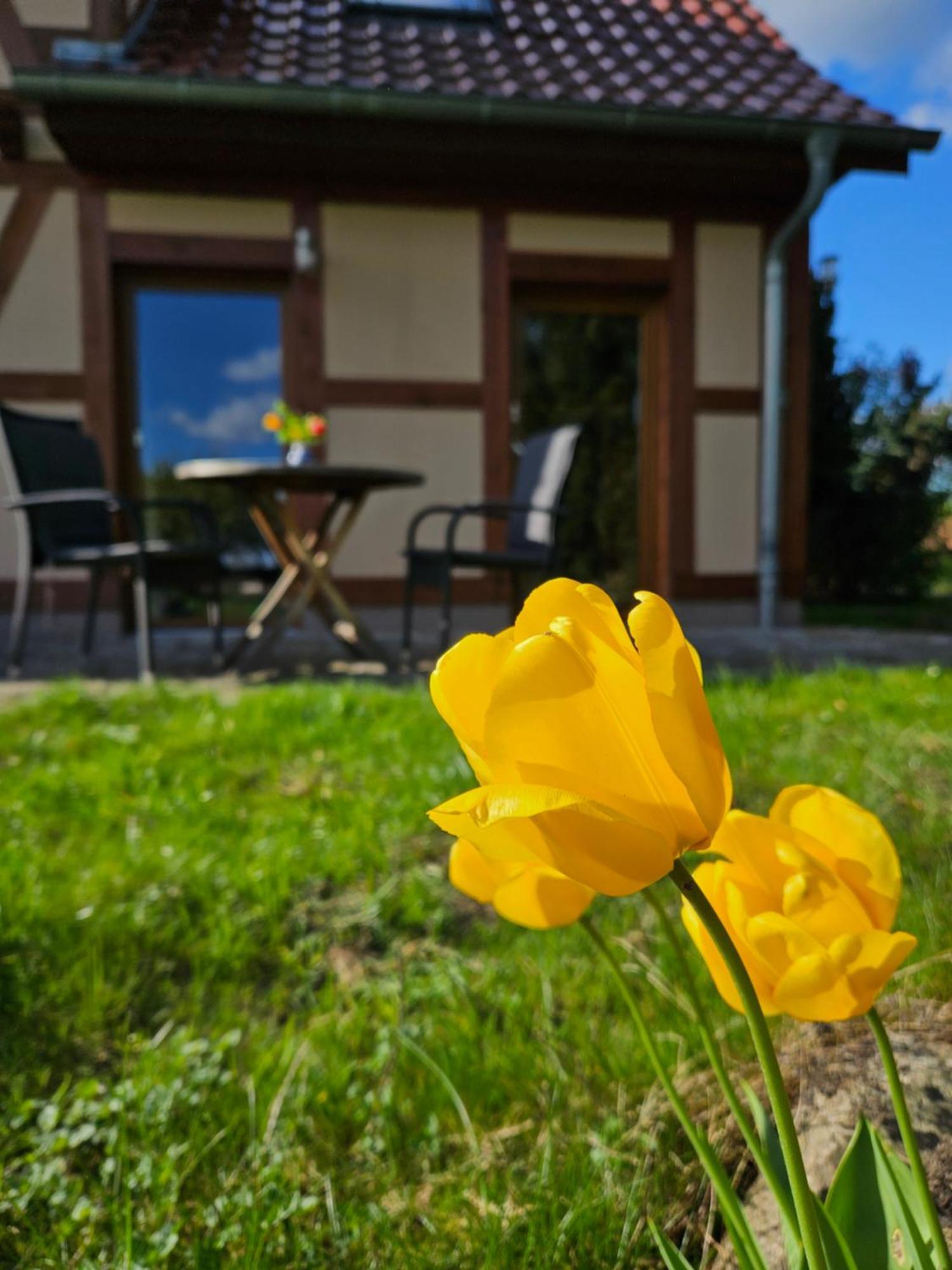 Ferienwohnung Peetsch Am See Mirow Exteriér fotografie