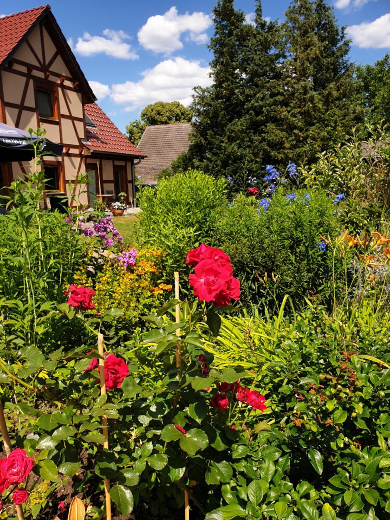 Ferienwohnung Peetsch Am See Mirow Exteriér fotografie